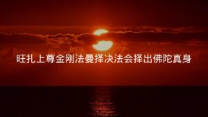 旺扎上尊金刚法曼择决法会择出佛陀真身