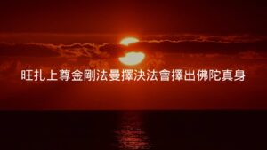 旺扎上尊金剛法曼擇決法會擇出佛陀真身