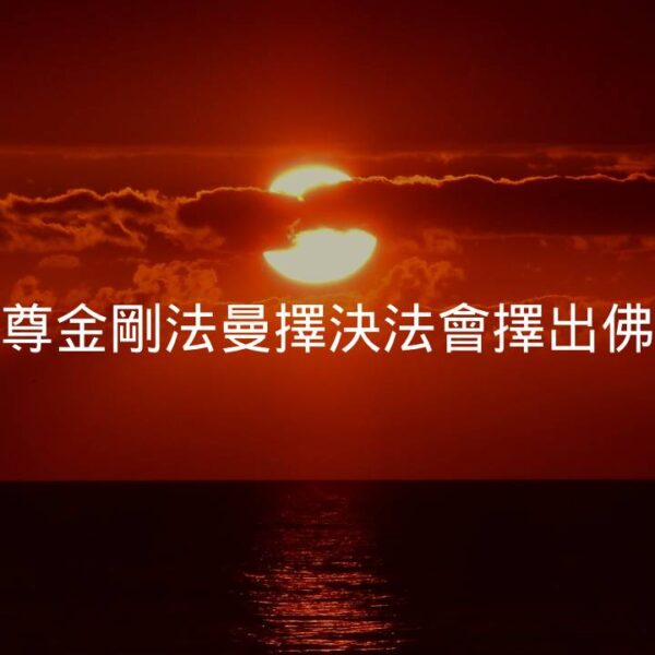 旺扎上尊金剛法曼擇決法會擇出佛陀真身